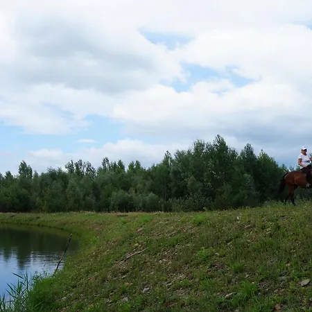 Dubovuy, Дом В Горах * Nevitskoye (Transcarpathia)